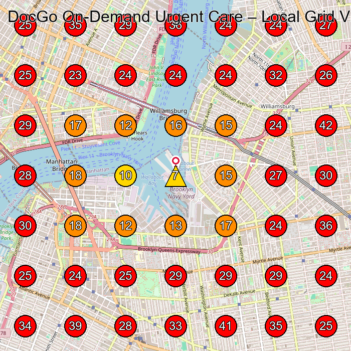 DocGo On-Demand Urgent Care GeoGrid visibility map for Veterinarian in None